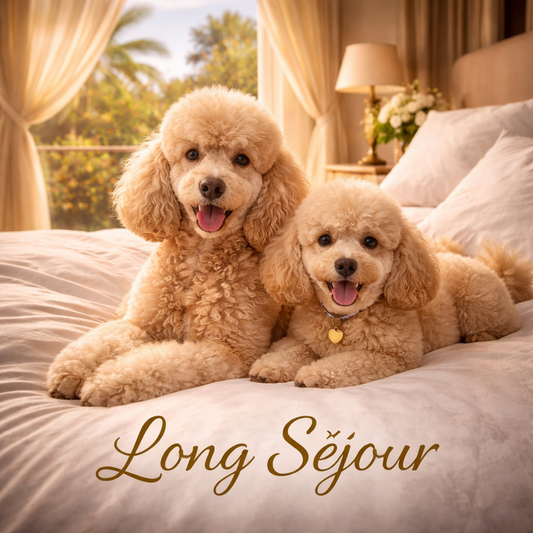 Long Séjour
