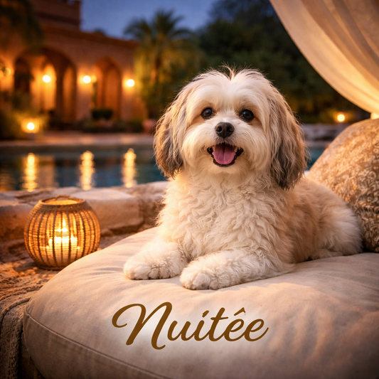 Nuitée