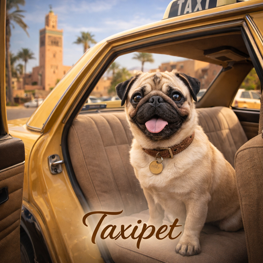 TaxiPet